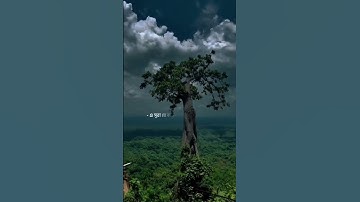 সুরা আল-মুলক (سورة الملك)-এর ফজিলত কবরের আজাব থেকে রক্ষা করে❤️