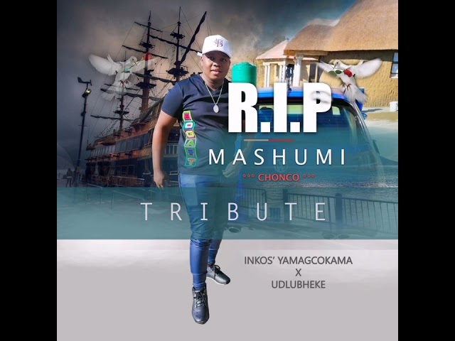 Inkos'yamagcokama ft uDlubheke - RIP Mashumi (Tribute) class=