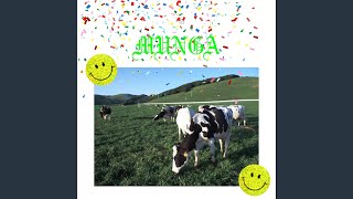 Download Lagu Koeien zijn nummer één. MP3