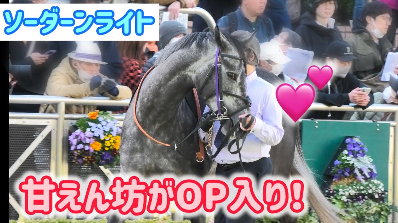 厩務員さんに甘えっぱなしだけど強い！ソーダーンライト