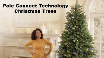 Pole Connect Technology Christmas Trees