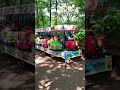 Naik kereta cepat Odong Odong Pesawat Terbang merah dan pororo membawa penumpang #reels #fyp
