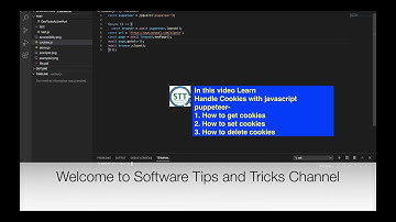 Automation Testing - How to automate cookies using puppeteer, javascript | Live code