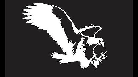 Birds of prey Sounds Bird & Rodent repellent