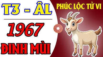 Xem Tuổi Đinh Mùi 1967 Tháng 3 Âm Lịch Năm 2025 Ất Tỵ