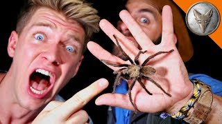 WILD Tarantula Challenge!