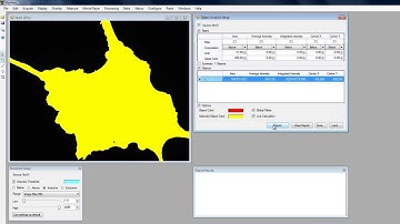 VisiView Application Module: Object Analysis