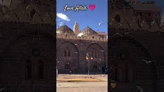 Maula ya saley#ytshorts#islamicnaat#viralvideo#ystudio