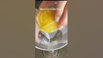 Amazon Favorite Finds I Don