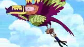 Zoro & The South Bird