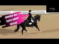 Edward Gal Talks About Totilas The Best Grand Prix Dressage Stallion Ever