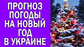 ПОГОДА НА 31 ДЕКАБРЯ : ПОГОДА НА ЗАВТРА