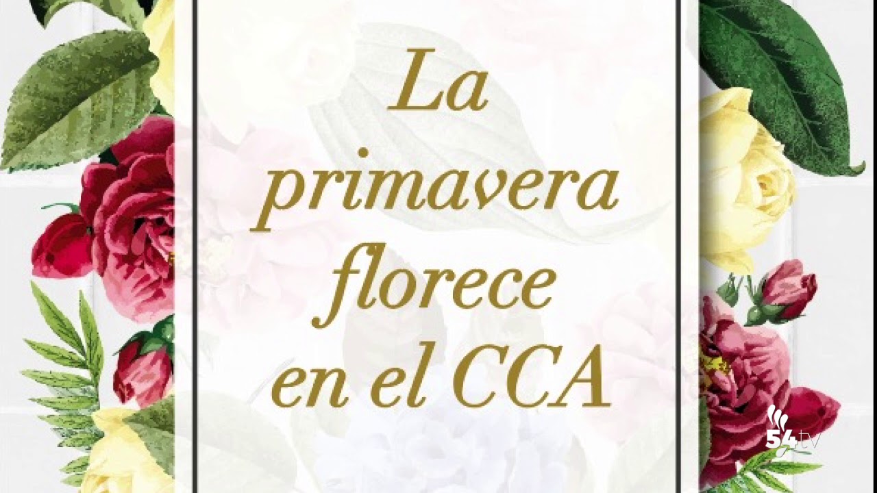 Ponen en marcha la campaña ‘La primavera florece en el Centro Comercial Abierto’ campaña levante