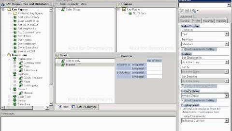 Part 1: SAP BW Query