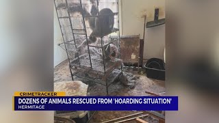 Dozens of animals rescue from Hermitage 'hoarding situation'