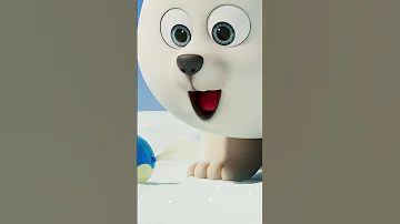 Mio Mao Dance SEALOOK Shorts 