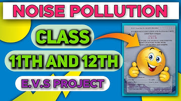 Noise Pollution|EVS Project|Class 11th|Full Description|