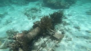 2023.05 Shipwreck North of Grand Cayman