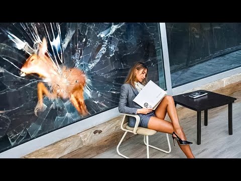 Когда Всё Пошло Не по Плану