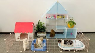 Best DIY Home Projects Absolutely Anyone Can Do For Pomeranian Dogs - How To Make Cat Home Decor Art by MR PET FAMILY 10,145 views 6 months ago 5 minutes, 55 seconds