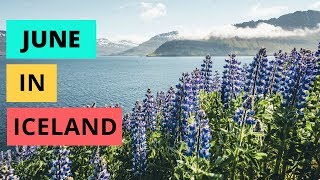 June in Iceland | ULTIMATE travel guide screenshot 1