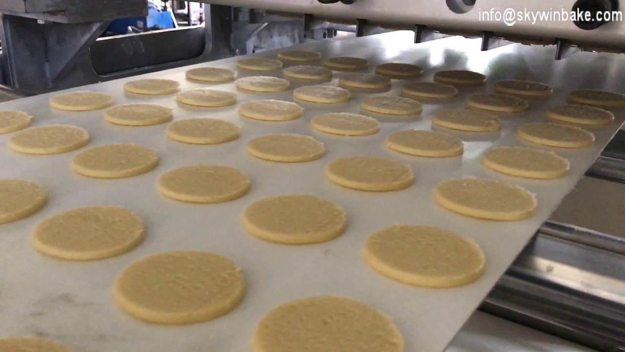 2017 Skywin wire cut cookies machine to the USA