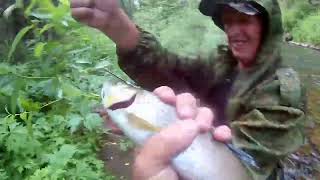 ЛОВЛЯ КРУПНОГО ХАРИУСА НА ТАЁЖНОЙ РЕКЕ Хакасии/ Быт и ночёвка в Сказочной Тайге !!!