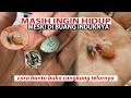 Embrio Telur Murai Batu Gagal Netas - Sulit Memecahkan Cangkang Telur