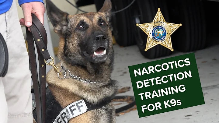 K9 Narcotics Detection Training at OCSO