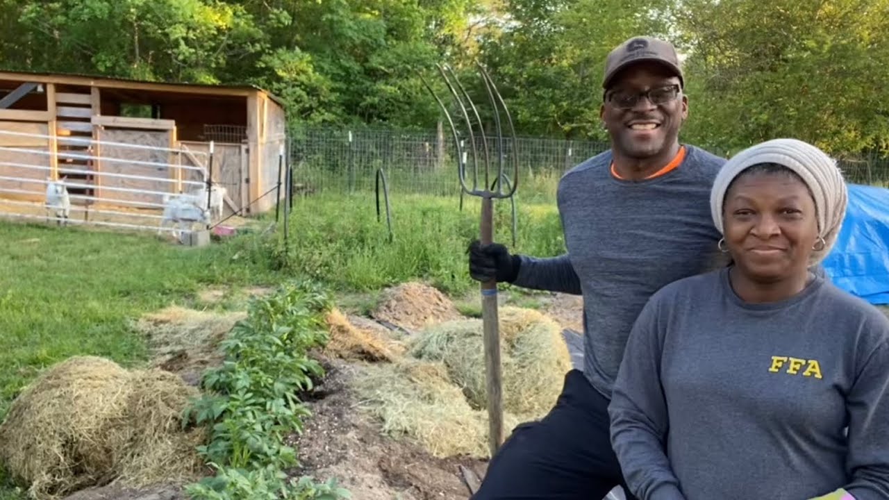 How We Are Hilling Our Yukon Gold Potatoes