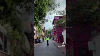 Elton Huseyneliyev Care Getmekdir Tiktok Videolarinda