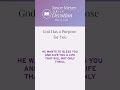God Has a Purpose for You | Daily Devotion from Joyce Meyer