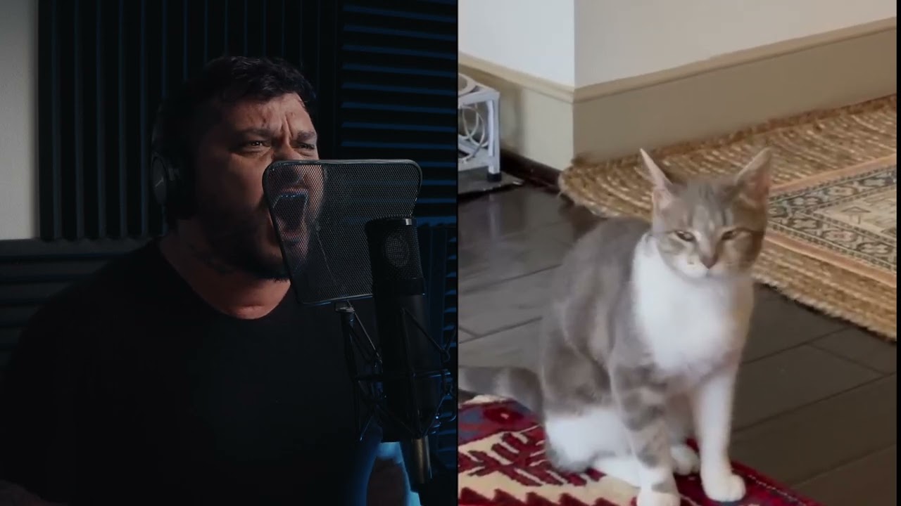 Ver Liam Espinosa - Lonely Cat (The Kiffness Metal Cover) no YouTube Ver Liam Espinosa - Lonely Cat (The Kiffness Metal Cover) no YouTube