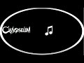 Chaoseum - Stick Under My Skin [Lyrics on screen]