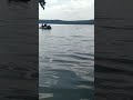 лето