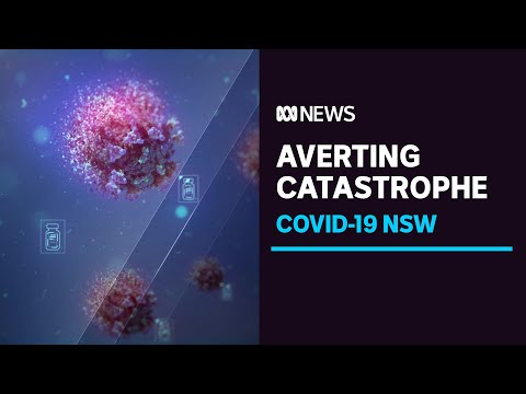 New modelling shows Sydney averted COVID catastrophe, says NSW government | ABC News