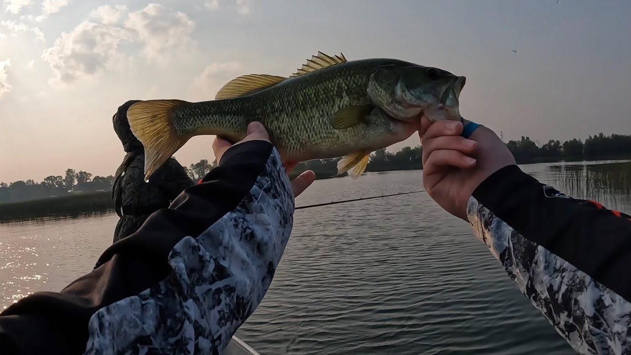 Fishing a new lake lake Reno MN - YouTube