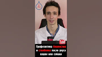 Профилактика столбняка и бешенства после укуса животного. Что делать?