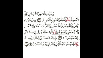 سورة فصلت 12 القسم الثاني عشر تكرار كيفي من .. وإما ينزغنك من الشيطان نزغ .. إلى .. وهم لا يسأمون