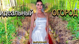 видео: За это видео нам стали прилетать предупреждения и вообще, снесли канал на пару часов - КАК ЭТО БЫЛО? картинка: За это видео нам стали прилетать предупреждения и вообще, снесли канал на пару часов - КАК ЭТО БЫЛО?