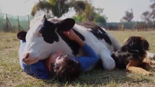 Why Do We Still Eat Animals? (Re-Upload) Pt.1 Introduction