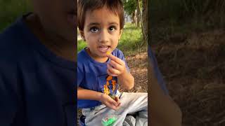 surprise box for aahana by Aahana 9 views 6 months ago 3 minutes, 25 seconds