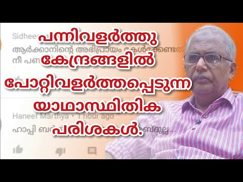 പന്നിവളർത്തു കേന്ദ്രങ്ങളിൽ പോറ്റിവളർത്തപ്പെടുന്ന യാഥാസ്ഥിതിക പരിശകൾ.