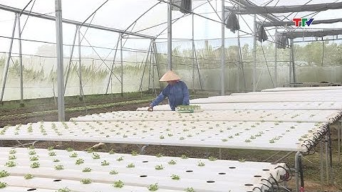 Ứng dụng khoa học công nghệ, nâng cao giá trị cây trồng, vật nuôi| NSTH