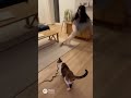 怯えた声のが怖かった…