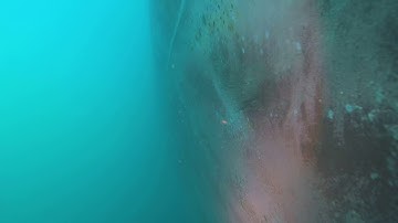 mv Intrepid 02 01 19 Vertical Video 01 of 17