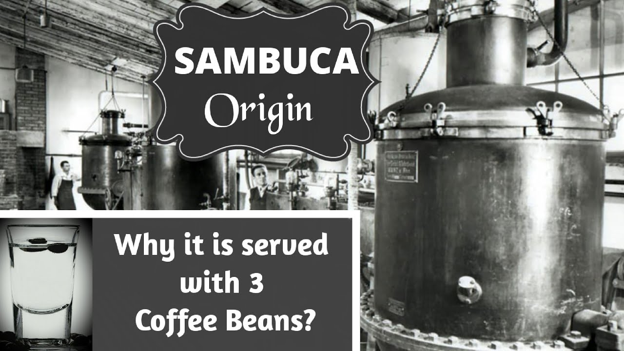 Sambuca | Why Sambuca is served with Coffee Bean? - YouTube