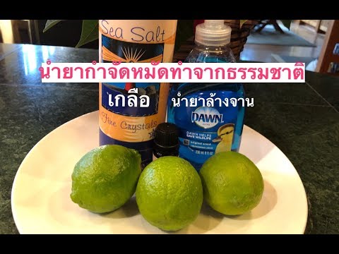 สูตรวิธีทำนำ้ยากำจัดหมัดให้น้องหมาและสัตว์เลี้ยงอื่นๆทำจากธรรมชาติ. ปลอดภัยต่อคน,สัตว์อย่างได้ผลEP.9