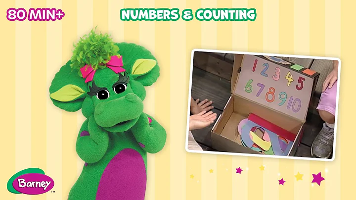 Numbers & Counting | Full Episodes | Barney the Di...