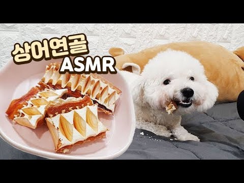 바삭한 소리 대박!!!! 강아지 상어연골 리얼사운드 ★ Dog Eating Sound ★ ASMR┃비숑프리제┃강아지 유튜버